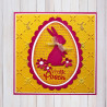 Nellie's Choice 3D Embossing Folder Bunny's and Clovers