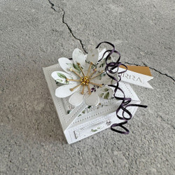 Simple and Basic Square Flowerbox Dies