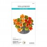 Spellbinders Nasturtium and Galvanized Wash Bucket Etched Dies