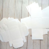 ScrapBoys Exploding Box White 3 pezzi