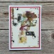 AALL & Create Stamp Set A8 1161 Trio Cirque