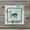 AALL & Create Stamp Set A8 1154 Eyeful
