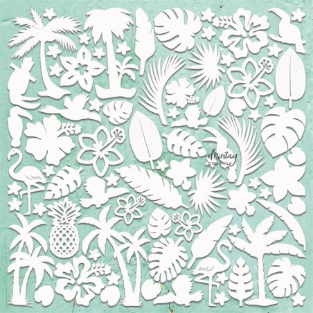 Mintay Papers Chippies Tropical