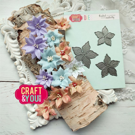 Craft&You Magda's Desert Rose Dies