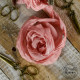 Old Fashion Ribbon POWDER PINK - raso