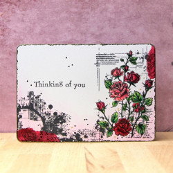 AALL & Create Stamp Set A7 1175  This Much Is True