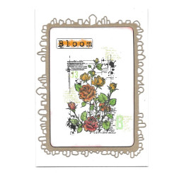 AALL & Create Stamp Set A7 1175  This Much Is True