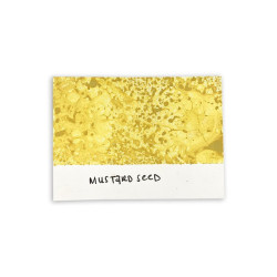 Tim Holtz Distress Spray Stain Mustard Seed