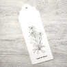 HA-PI Little Fox EDELWEISS Wanderlust Clear Stamp