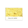 Tim Holtz Distress Spray Stain Fossilized Amber