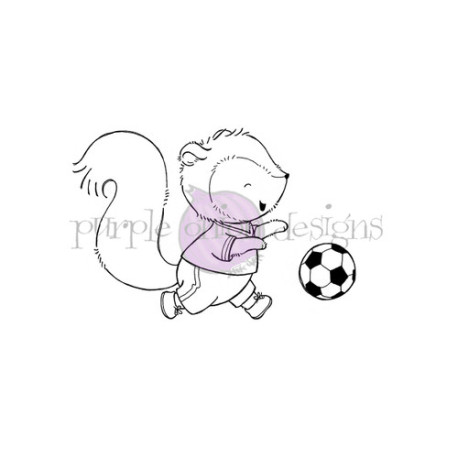 Purple Onion Designs Stacey Yacula - Bandit (squirrel soccer)