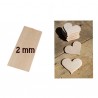 Legno di Balsa 25x10x2mm di spessore