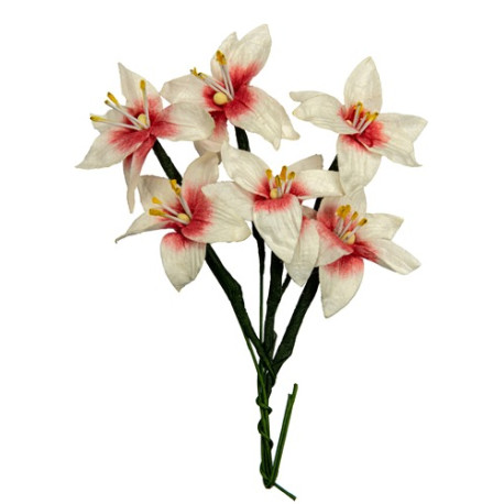 Fiori di Carta WHITE-RED con Stelo 6pz