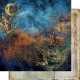 Alchemy of Art Tales of Moss and Fern Paper Collection Set 30x30cm 6fg