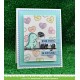 Lawn Fawn Rawr Stamp Set