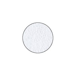 Ranger Embossing Powder White