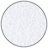 Ranger Embossing Powder White