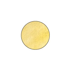 Ranger Embossing Powder Gold