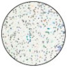 Ranger Embossing Powder Snowflake Tinsel