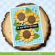 LAWN FAWN Sunny Sunflower Cuts