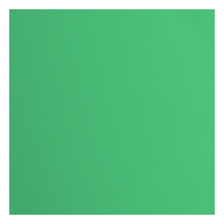 Cartoncino Effetto Tela Emerald 216gsm 30x30cm