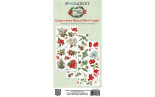 49 and Market Evergreen Season Botanical Rub-on Transfer Set