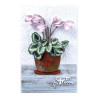 Spellbinders Cyclamen Etched Dies