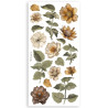 Stamperia Golden Harmony Paper Cut-outs 4fogli