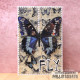 AALL & Create Washi Tape 118 Cobalt Swallowtail