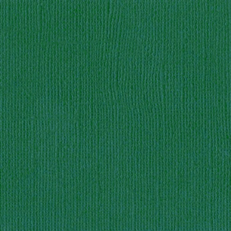 Cartoncino Bazzill Mono Canvas Classic Green 30x30cm 216gsm