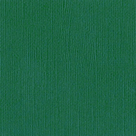 Cartoncino Bazzill Mono Canvas Classic Green 30x30cm 216gsm