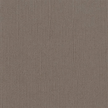 Cartoncino Bazzill Mono Canvas Bark 30x30cm 216gsm