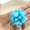 Fiore Chiffon Celeste