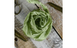 Old Fashion Ribbon OLIVE GREEN - raso