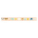 Echo Park Washi Tape Baby On Board It's a Girl! New Arrival Animals