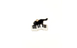 Charm Gatto Musicista