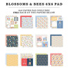 Echo Park Blossoms And Bees Paper Pad 15x15cm