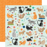 Simple Stories Fur Baby Cat Collection Kit 30x30cm