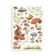 Stamperia Hidden Grove A5 Washi Pad 8pz