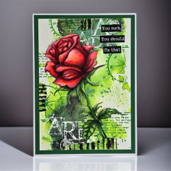 AALL & Create Stencil 240 Wild Rose
