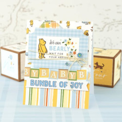 Echo Park Winnie The Pooh Baby Collection Kit 30x30cm