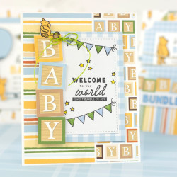 Echo Park Winnie The Pooh Baby Element Sticker 30x30cm