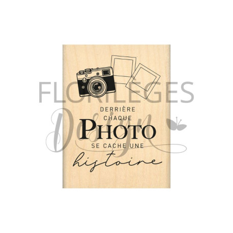 Florileges Timbro montato HISTOIRE CACHEE