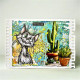 AALL & Create Stamp Set A7 1264 True North