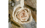 Old Fashion Ribbon PESCA - raso