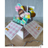 Timbro Clear-Mi 2646-CLEM-C Mariko