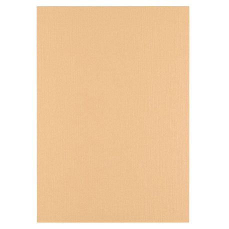10 fogli Cartoncino Trama Lino A4 PARCHMENT 250 gsm