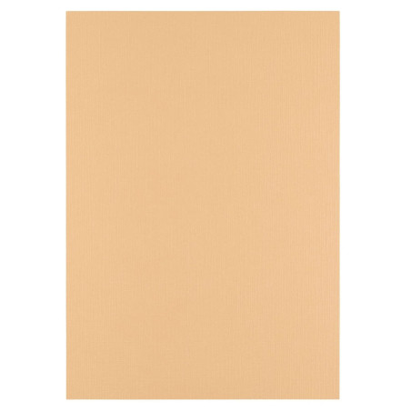 10 fogli Cartoncino Trama Lino A4 PARCHMENT 250 gsm