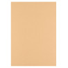10 fogli Cartoncino Trama Lino A4 PARCHMENT 250 gsm