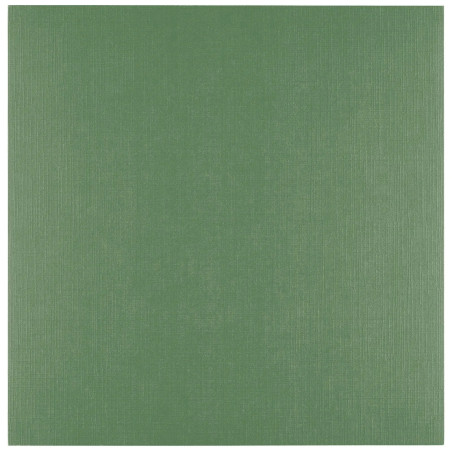 Cartoncino effetto LINO PINE 250 gms 30x30 cm